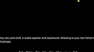 Lara Croft's erotic tomb raiding