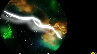 sex art 1: insatiable couple's wild erotic ride