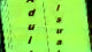 My Crazy Stay at Harem Hotel 117 with Wild Anime Babes. Can't Wait for More!