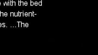 King Exit Full Pt 2 Brings Hot Manga Action