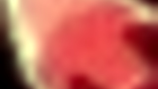 Honeysun Tutorial Redhead Flight Attendant Blowjob