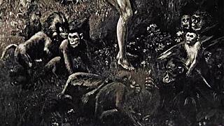 Vintage Erotic ILLUSTRATION Sparks Wild DESIRES!