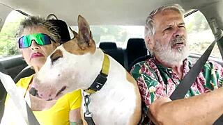 हम ओहू पर सेक्सी रोड ट्रिप्स पसंद करते हैं छोटी परिधि के बावजूद विंडवर्ड साइड से ड्राइविंग