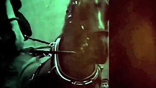 Vintage Erotic Drawings Collection