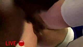 Kasumi's Dead or Alive hentai collection features various anime scenes, have you seen it?