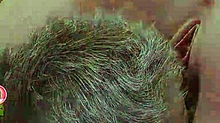 WOW, Milfs of Sunville 2 Gameplay Explodes!